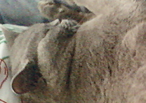 Majdalenka Majdalenka