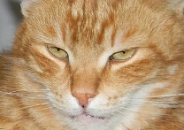 bejby