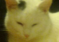 Erzyka a Toník a Bedřich