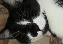 Jůlinka Jůlinka