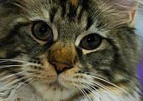 Daggenka a Sascha Daggenka a Sascha