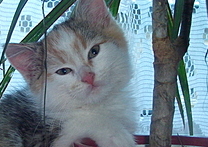 jennifer jennifer