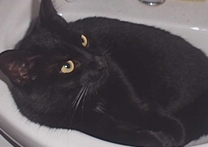 Čendíček Čendíček