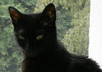 Pepina a Pilina