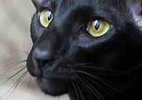 Olya a Bantique & Chloe