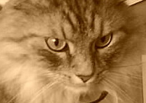 MENDÝSEK MENDÝSEK