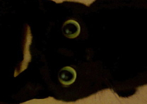 Twixie