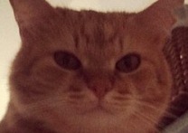 Fritz Fritz