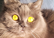 Ketty Ketty