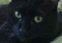 Koralina a Bert Koralina a Bert