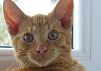 samuelquentio a Quentin