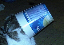 Killman a Zlotřilóza