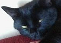 Martina a Tom Martina a Tom