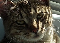 Jerry