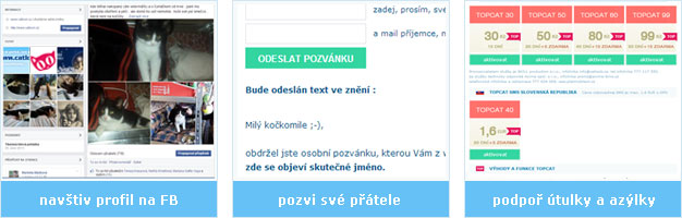 představení funkcí catlook.cz